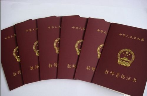 漢語言文學專業能否考取教師資格證及從事教育軟件開發